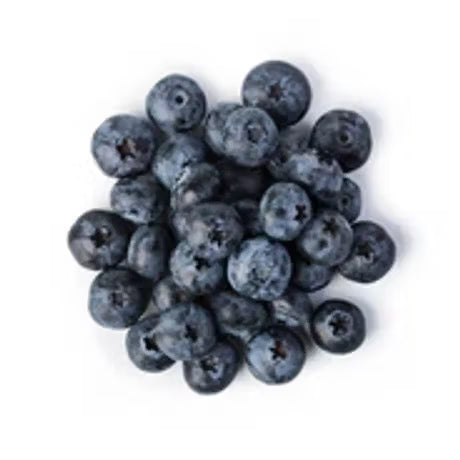 Wild Blueberry