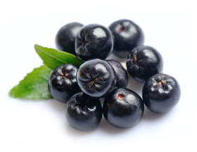 Aronia Berry