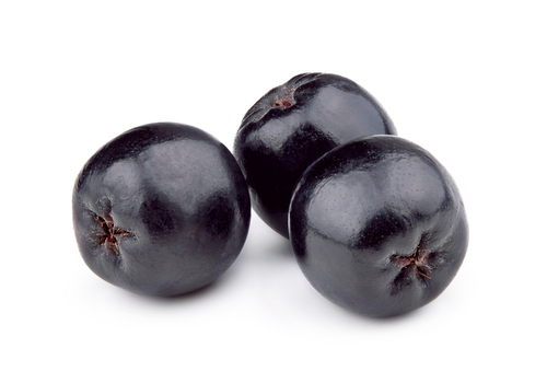 Organic Aronia Berry
