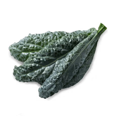Organic Kale