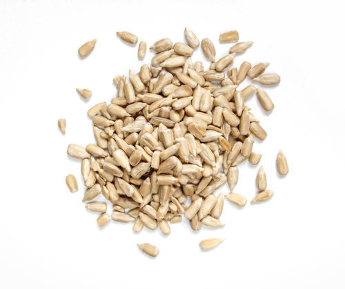 Sunflower Seed